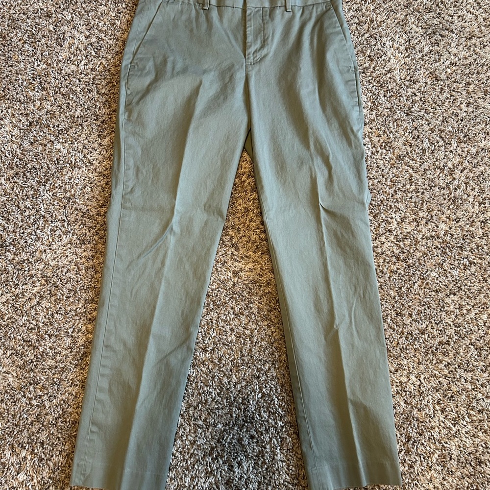 Men's Express Sage Dress Pants